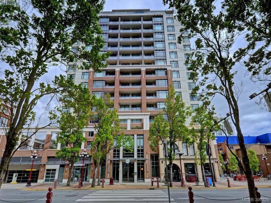 Modern 2 Bedroom Ocean Views Downtown Free Parking Apartamento *